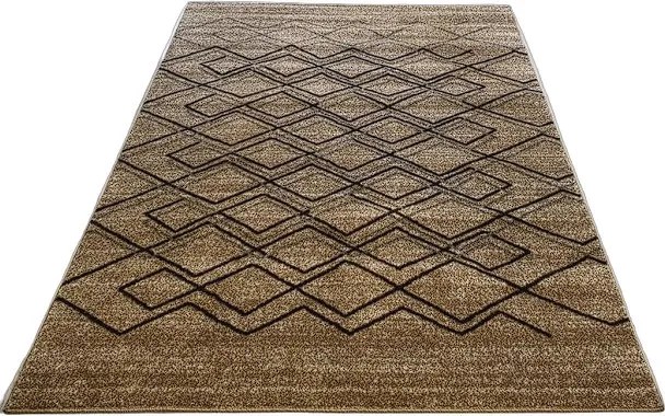 Moderný koberec Rio 166 v béžovo-hnedých odtieňoch – viac rozmerov Rozmer: 80x150 cm