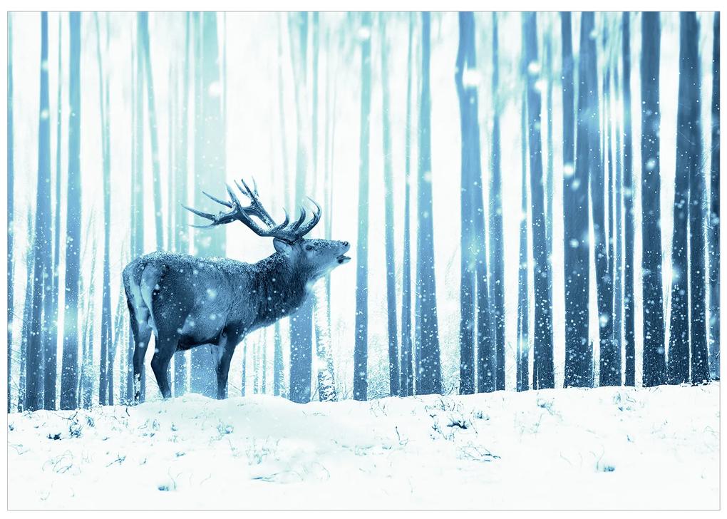 Artgeist Fototapeta - Deer in the Snow (Blue) Veľkosť: 100x70, Verzia: Premium