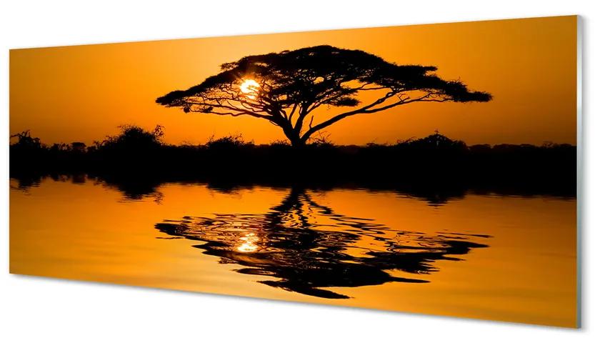 Obraz plexi Sunset tree 120x60 cm