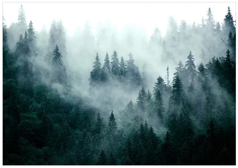Samolepiaca fototapeta  - Horský les (tmavozelený) 147x105