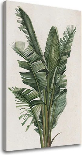 Obraz na plátne RASTLINY 007