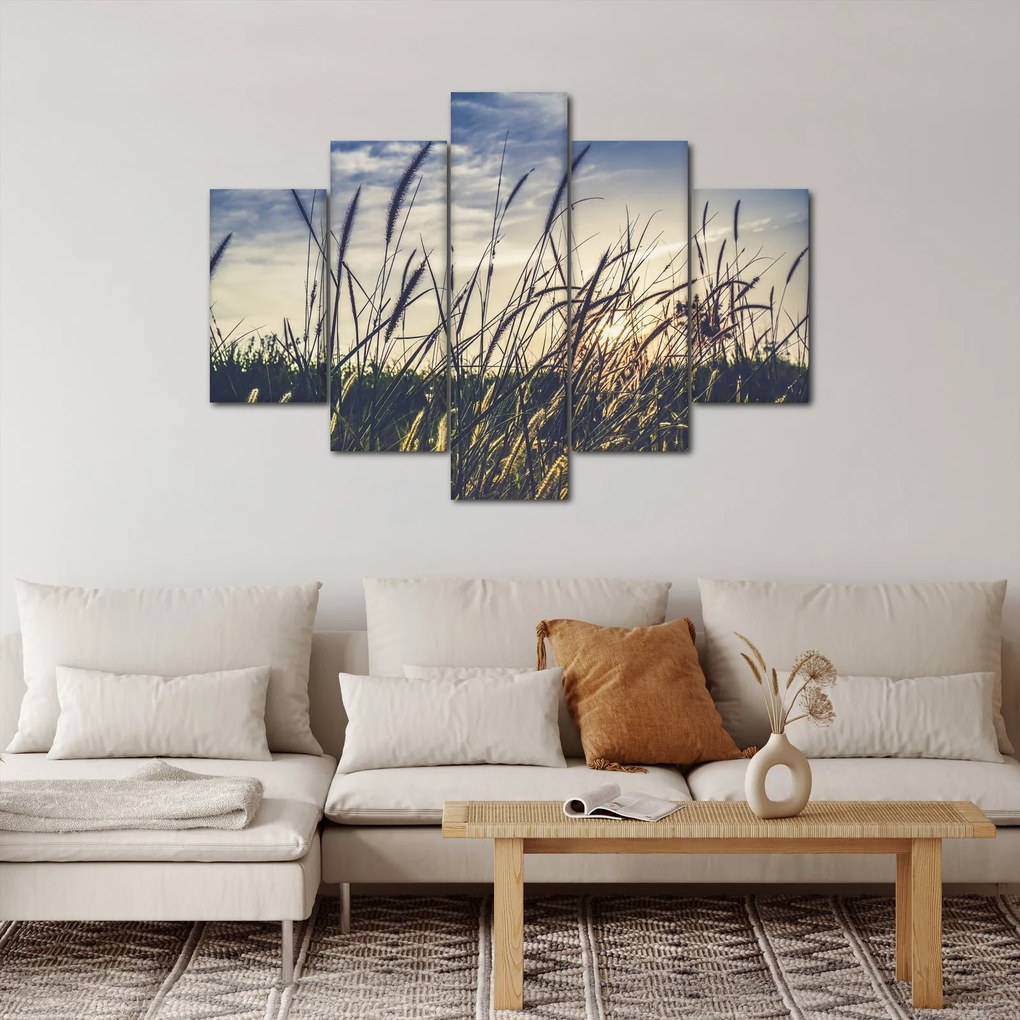 Obraz lúčnych kvetov (150x105 cm)