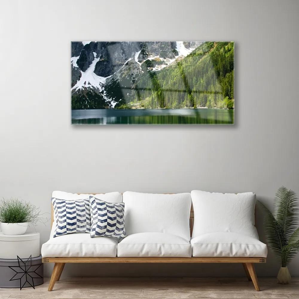 Skleneny obraz Jazero les hory príroda 120x60 cm