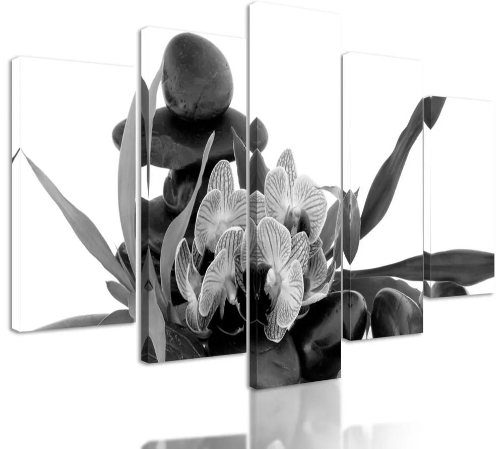 5-dielny obraz  čiernobiely kvet orchidei v SPA zátiší