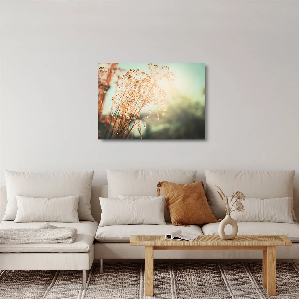 Sklenený obraz - Rastliny po daždi (70x50 cm)