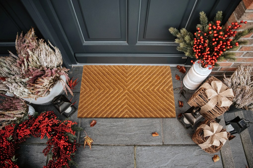 Hanse Home, Rohožka Geometric 105929 - na von aj na doma, 45x75, béžová, chodba / predsieň