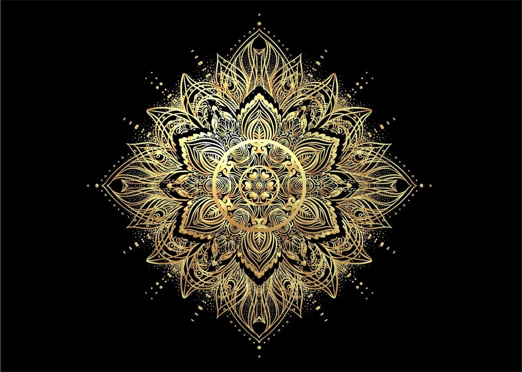 Obraz - Mandala bohatstvo (70x50 cm)