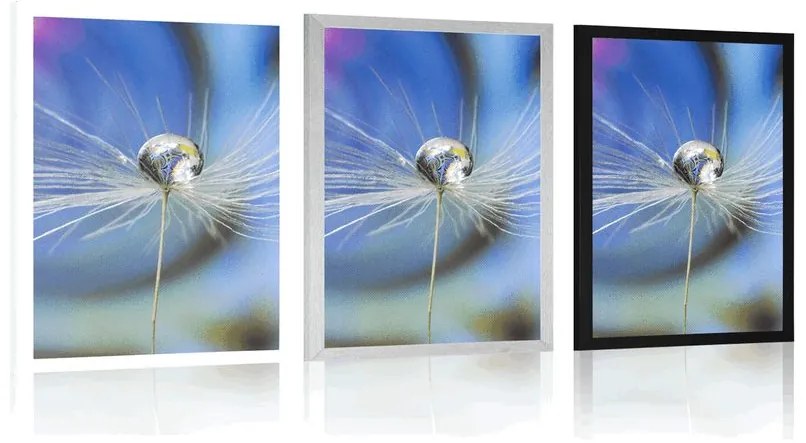 Plagát kvapka rosy na farebnom pozadí - 60x90 white