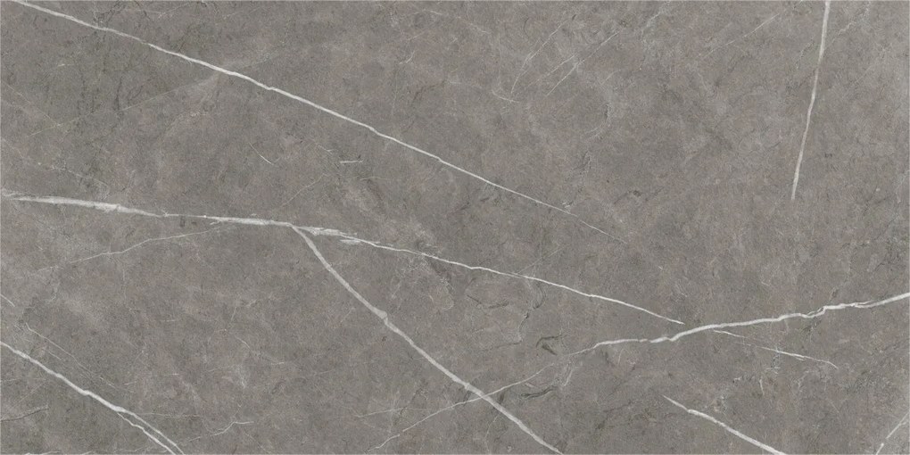 Dlažba Eternal Dark Natural 60x120 R