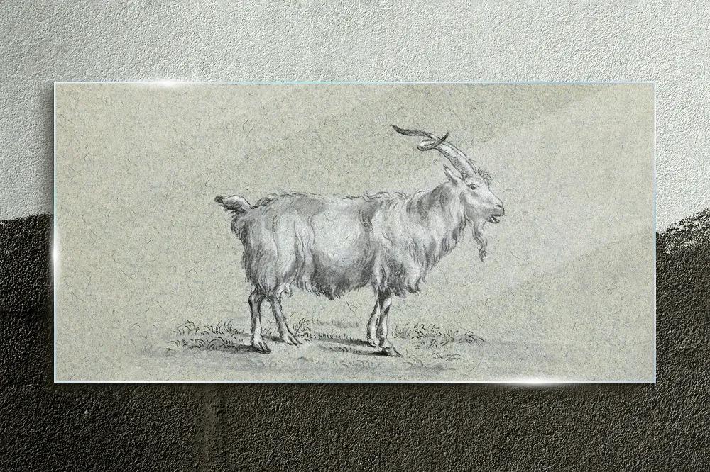 Obraz na skle Moderné zvieracie koza