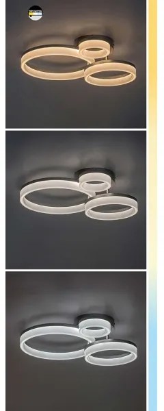 Rabalux 71383 - LED Stropné svietidlo AMILIA LED/24W/230V 3000/4000/6500K zlatá