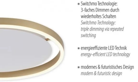 Leuchten Direkt 15391-60 - LED Stmievateľné stropné svietidlo RITUS LED/20W/230V