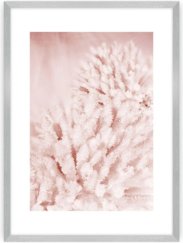 Plagát Pastel Pink II
