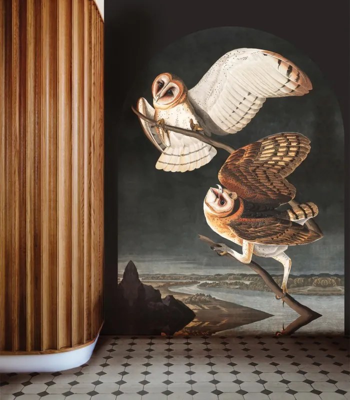 WALLCOLORS Owls wallpaper - tapeta POVRCH: Prowall Eco