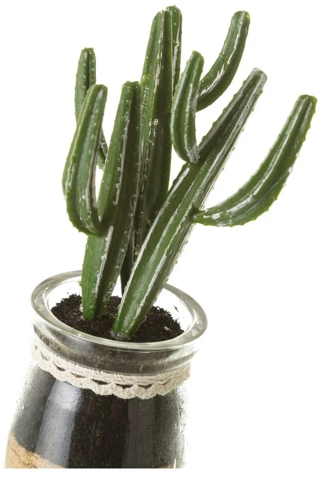 Umelé rastliny v súprave 4 ks (výška 18 cm) Cactus – Casa Selección