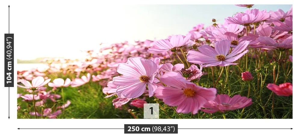 Fototapeta Vliesová Vesmír kvetina 152x104 cm