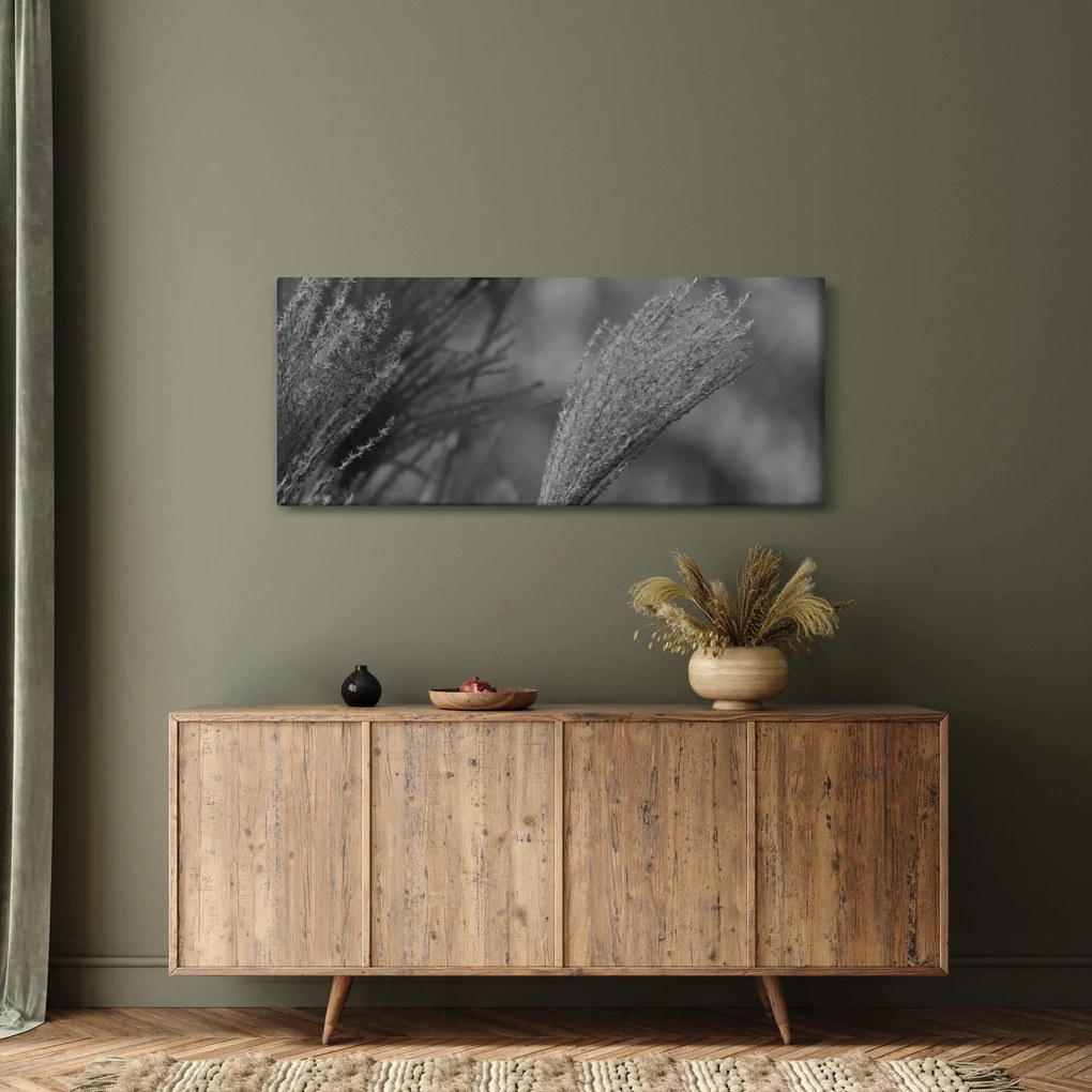 Obraz - Sušená pampová tráva (120x50 cm)