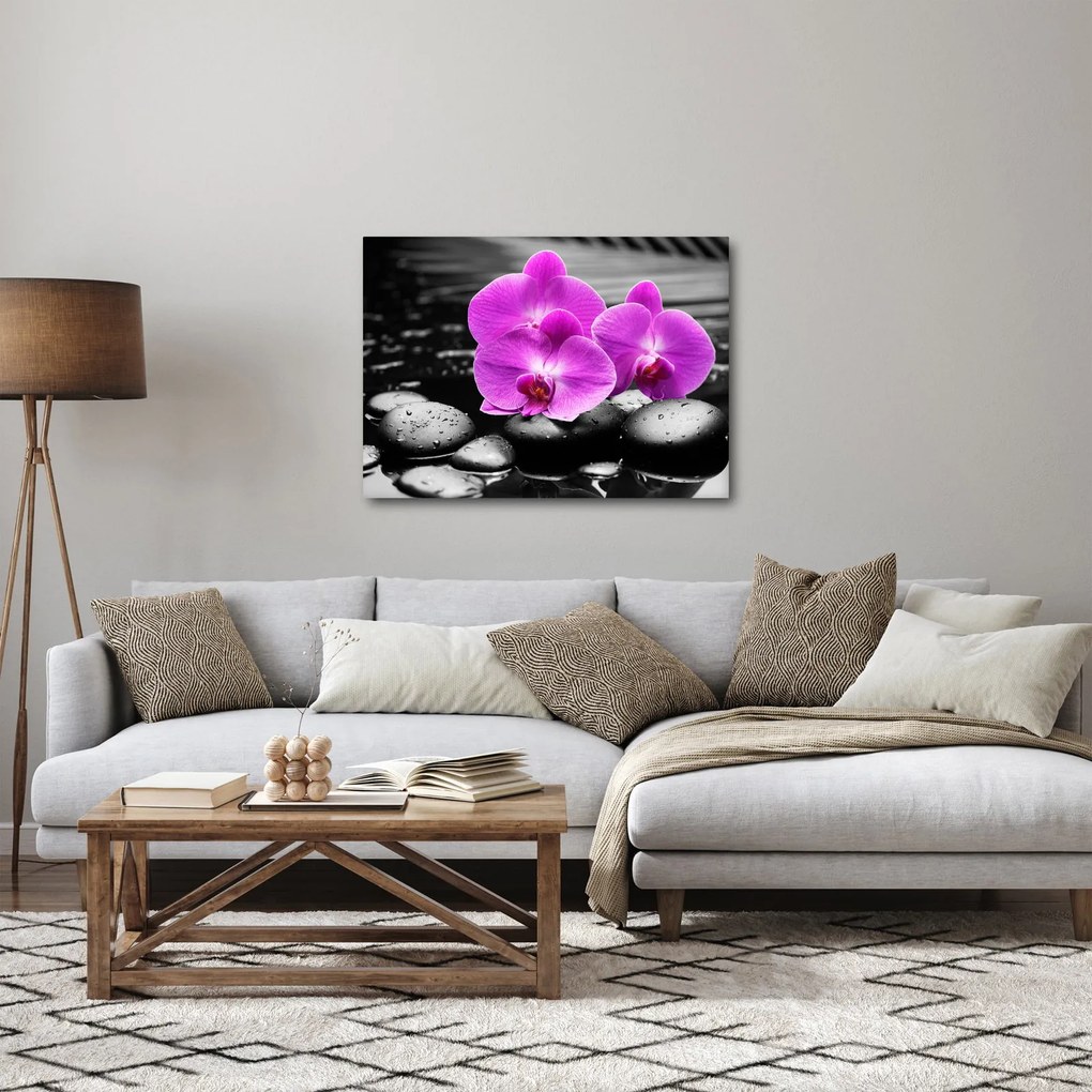 Obraz - Fialové orchidey (70x50 cm)