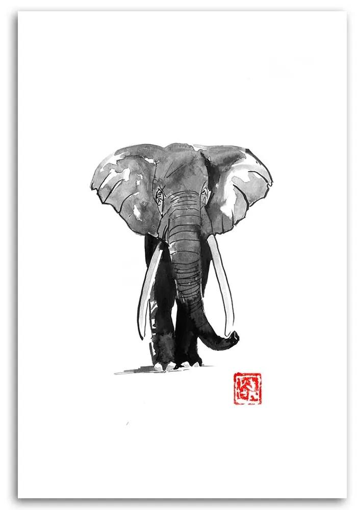 Gario Obraz na plátne Prechádzka so slonom - Péchane Rozmery: 40 x 60 cm