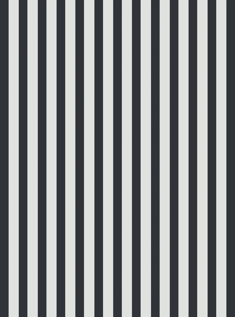 Bavlnené obliečky MONOLINE čierno-biele Rozmer obliečky: 70 x 80 cm | 140 x 200 cm
