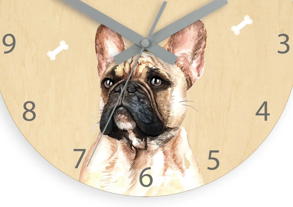 Detské nástenné hodiny Ami Buldog 30 cm viacfarebné