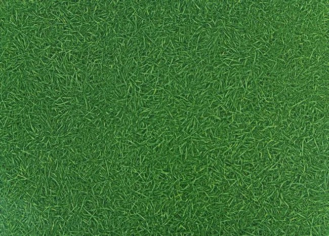 PVC podlaha Artifact Grass 025 imitácia trávy