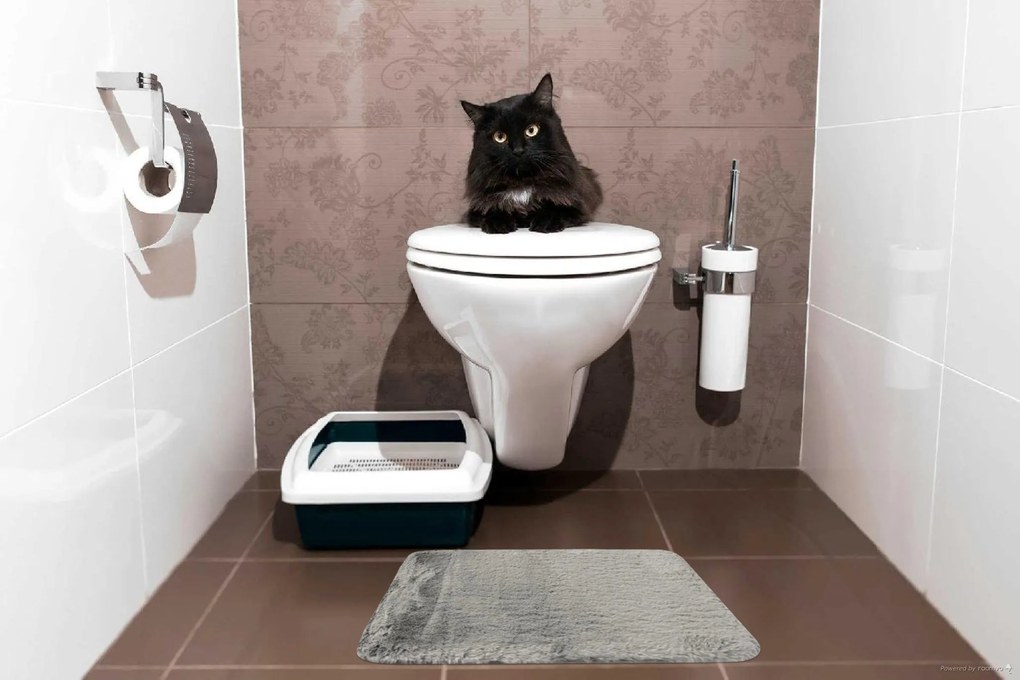 BO-MA, Kúpeľňová predložka Rabbit New grey, 60x90, šedá, kúpeľňa