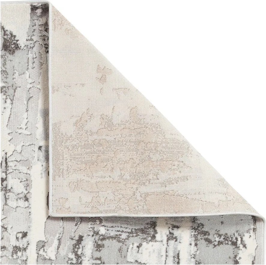 Sivý/béžový koberec 220x160 cm Apollo - Think Rugs