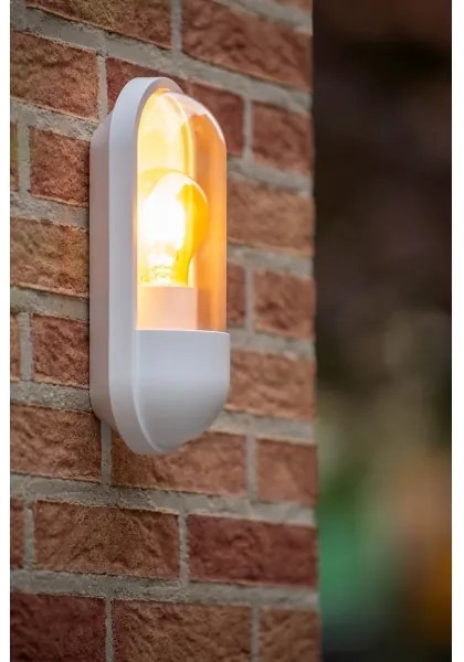 Lucide 29897/01/31 - Vonkajšie nástenné svietidlo CAPSULE 1xE27/15W/230V IP54