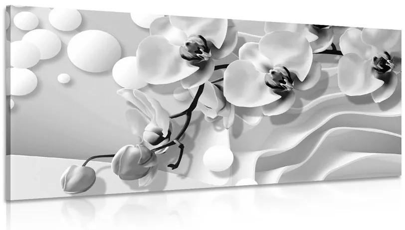 Obraz čiernobiela orchidea na abstraktnom pozadí Varianta: 120x60