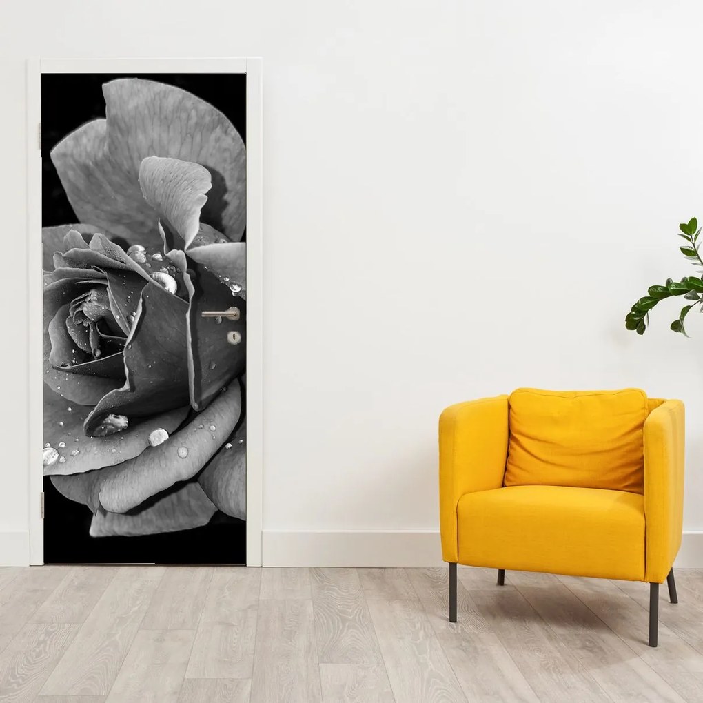 Fototapeta na dvere - Ruže, čiernobiela (95x205cm)