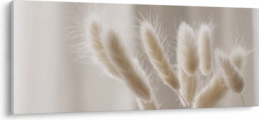 Obraz - Zajačie chvostíky (120x50 cm)