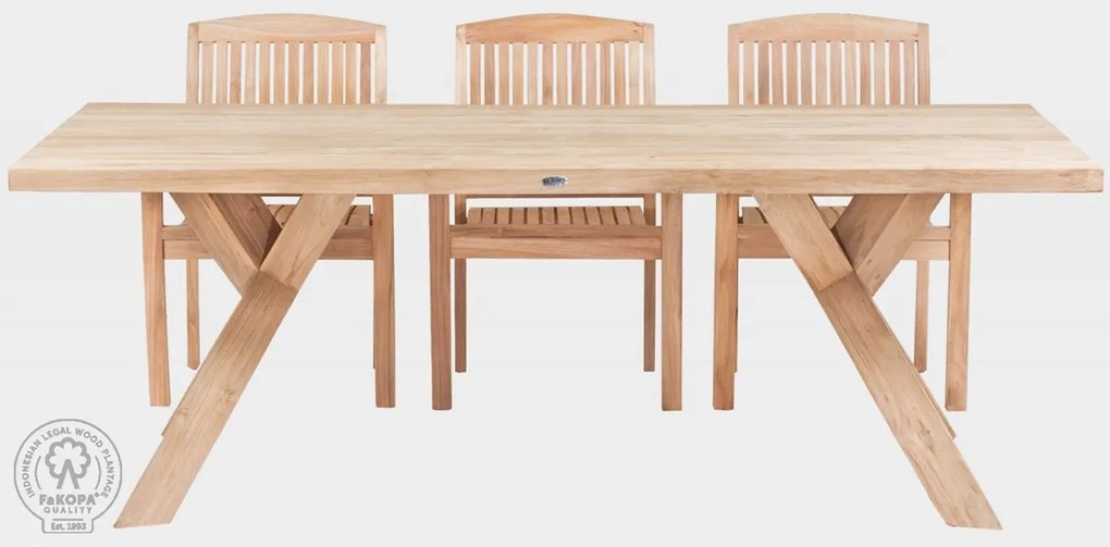 SPIDER+PARIS set - zostava z teaku