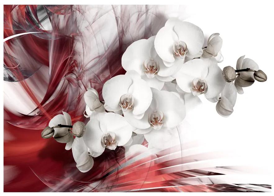 Artgeist Fototapeta - Orchid in red Veľkosť: 350x245, Verzia: Premium
