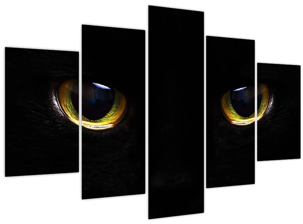Obraz - Mačacie oči (150x105 cm)