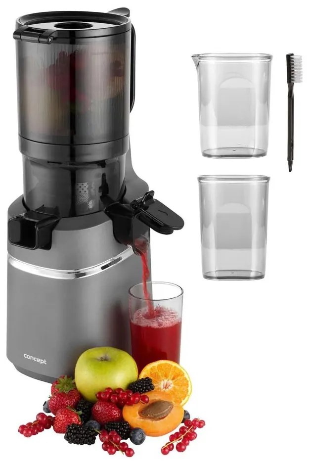 Concept LO7120 - Šnekový odšťavňovač JUICY 250W/230V šedá
