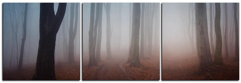 Obraz na plátne - Hmla v lese - panoráma 5182B (150x50 cm)