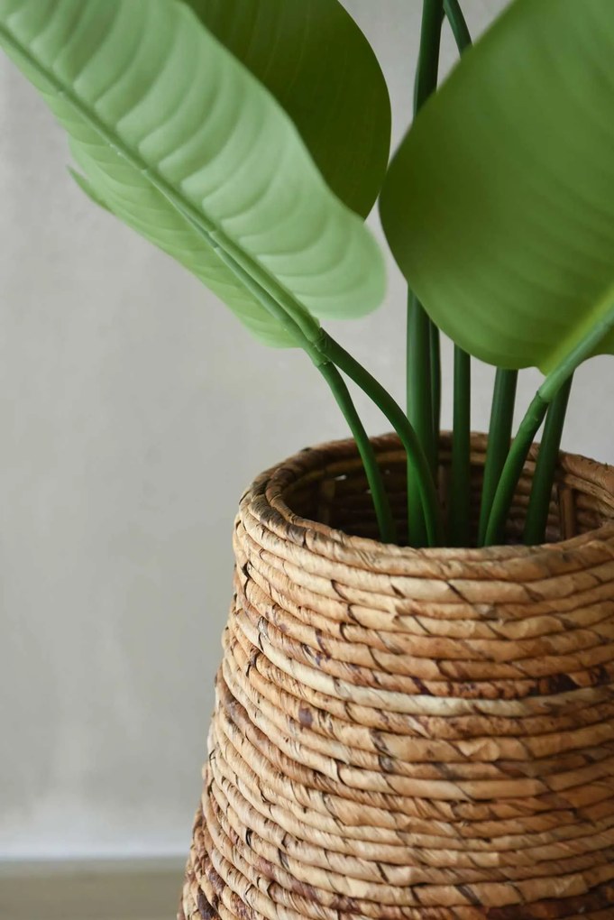 Izbový kvetináč ROTA, vodní hyacint, průměr 35 cm, natur