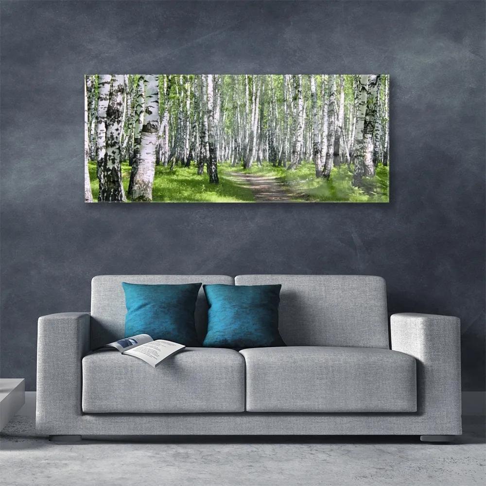 Obraz na akrylátovom skle Les chodník príroda 125x50 cm