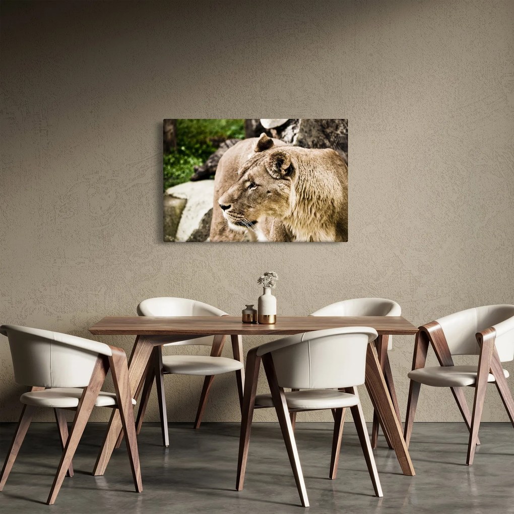 Obraz levice (90x60 cm)