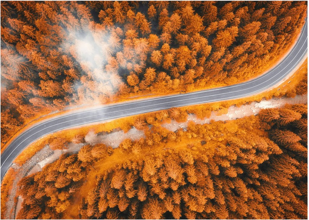 Obraz - Horská cesta (70x50 cm)