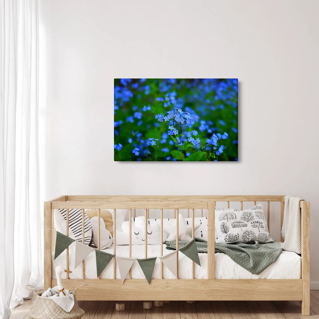 Obraz modrých kvetín (90x60 cm)