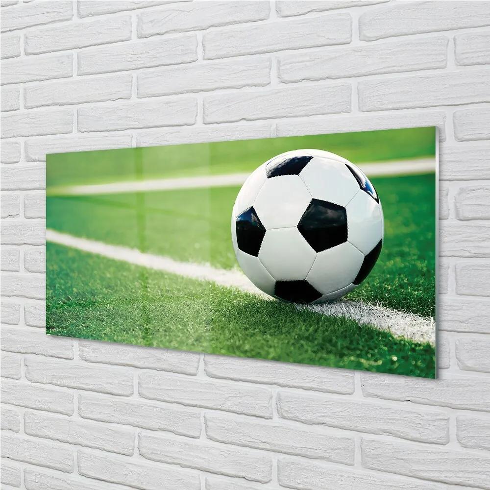 Obraz na skle futbalový trávnik 100x50 cm