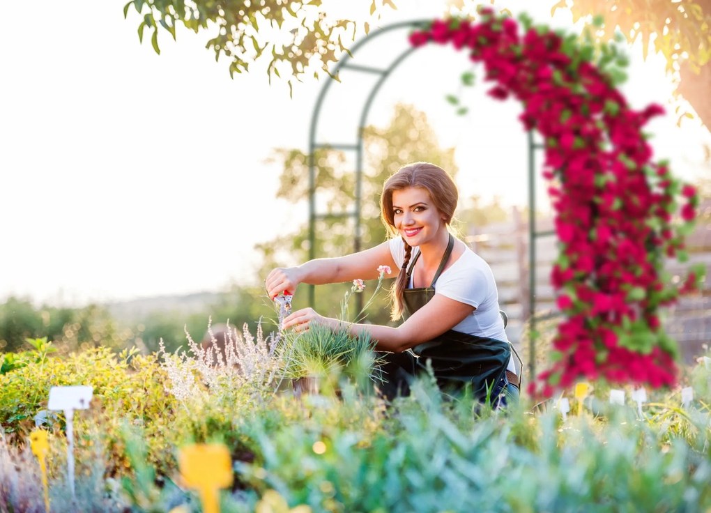 Záhradná kovová pergola 240 cm - oblúk
