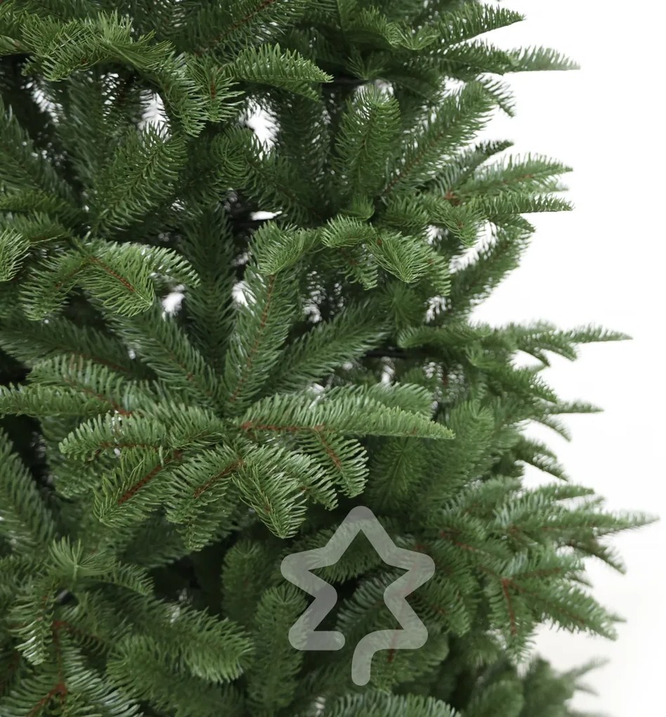 Jedľa Kaukazská 100% 150 cm