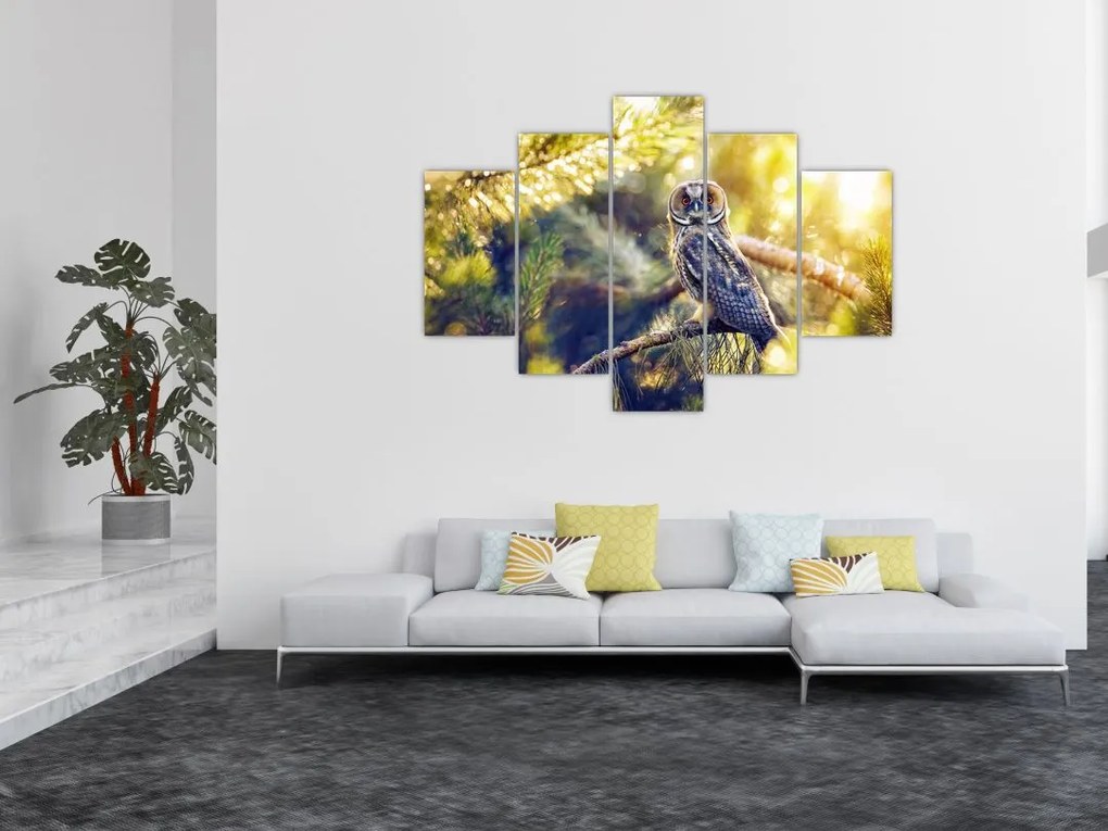 Obraz sovy na strome (150x105 cm)