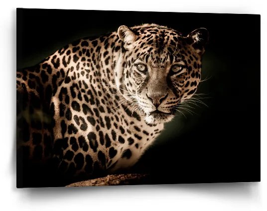 Sablio Obraz Leopard - 90x60 cm