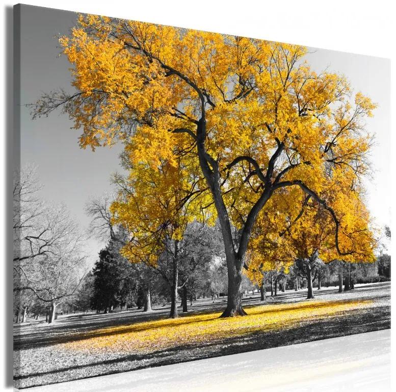 Artgeist Obraz - Autumn in the Park (1 Part) Wide Gold Veľkosť: 60x40, Verzia: Na talianskom plátne