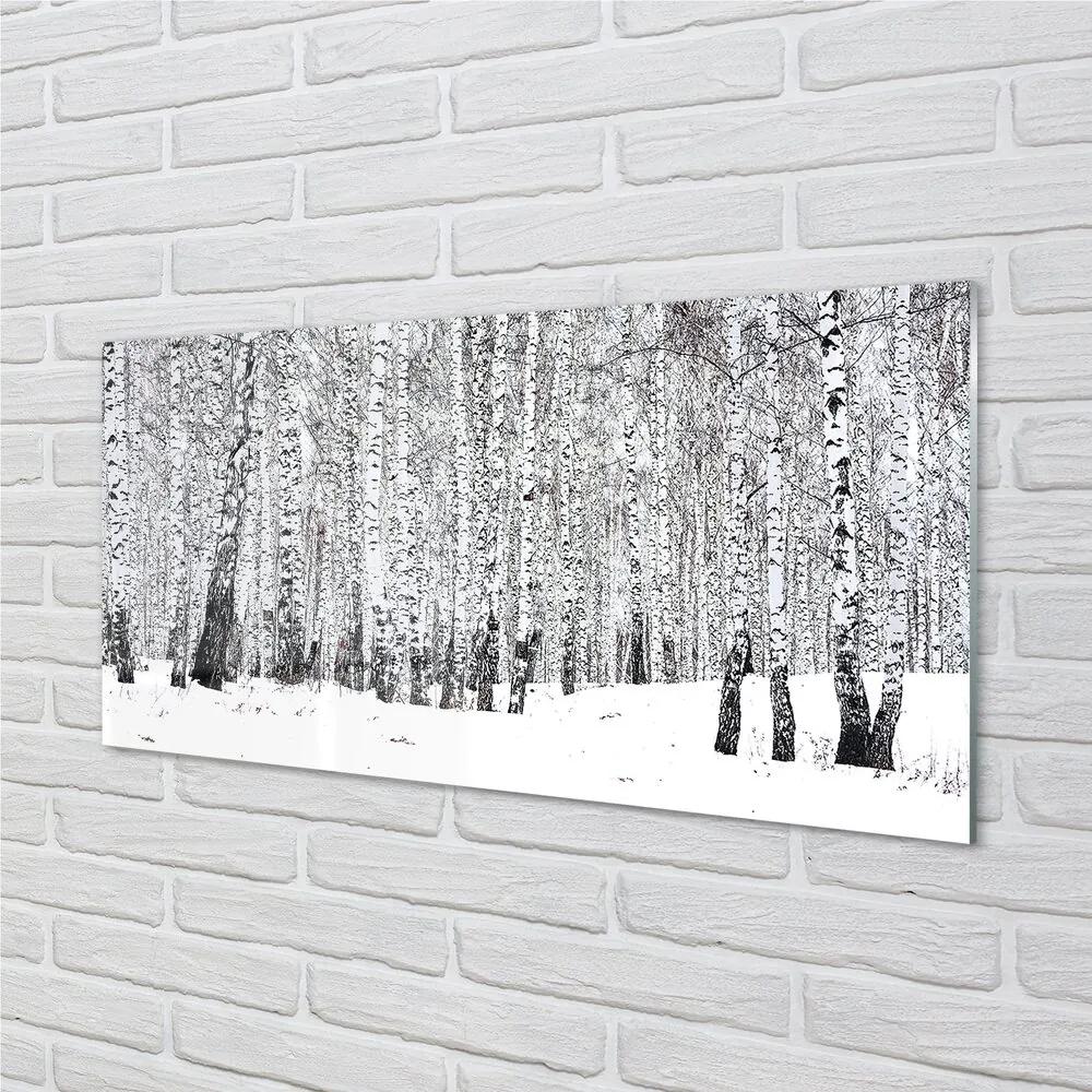 Sklenený obraz zimný brezy 100x50 cm