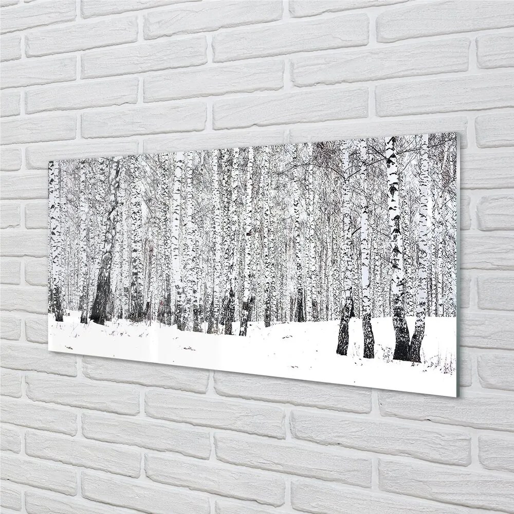 Sklenený obraz zimný brezy 125x50 cm